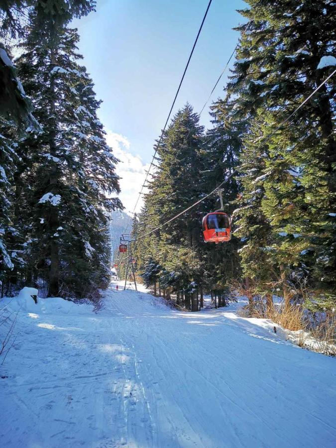 Mountain Paradise In Aparthotel Borovets Gardens エクステリア 写真